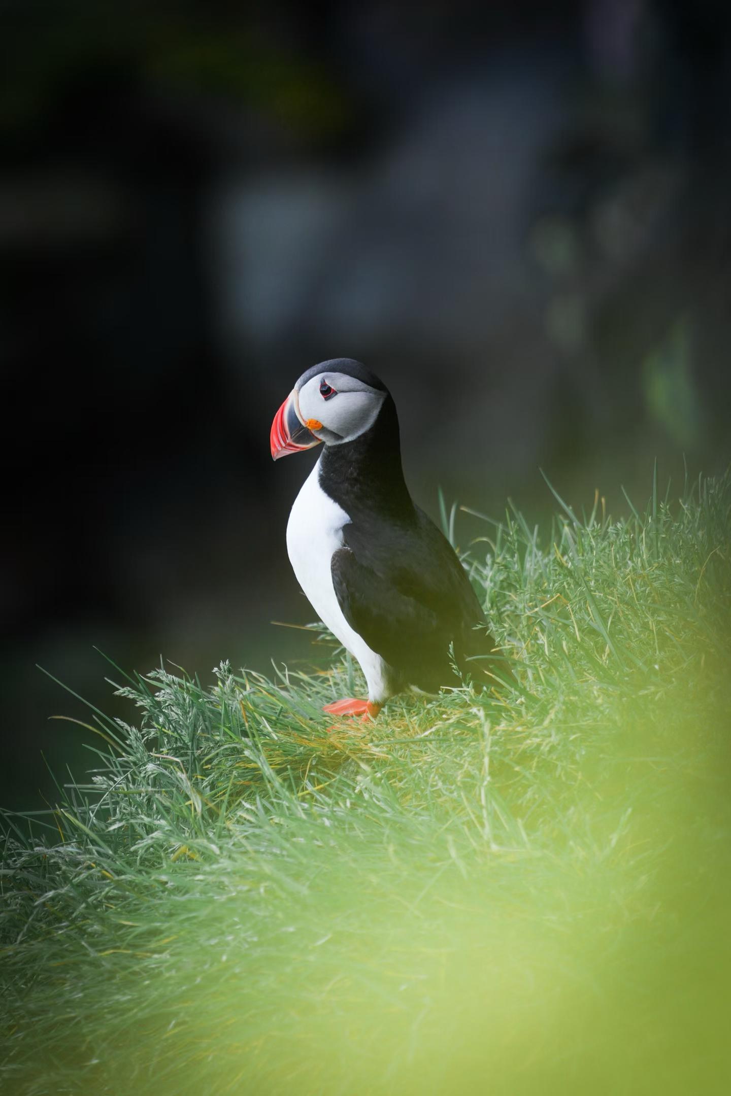 Iceland photograph 14
