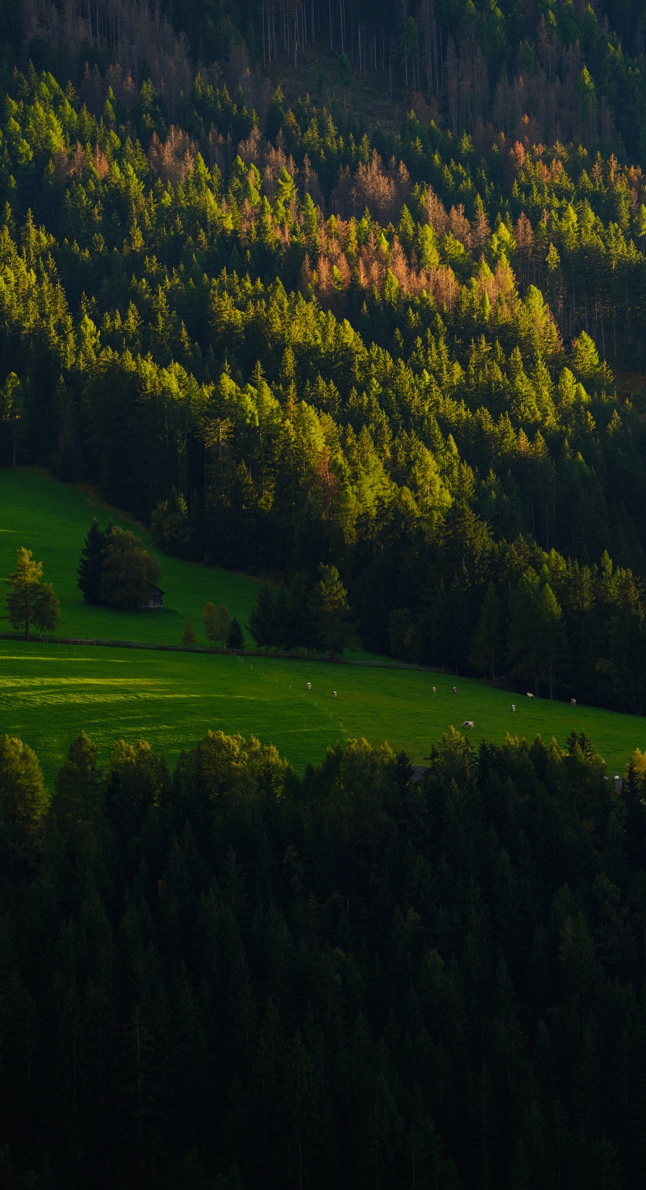 Italy photograph 11