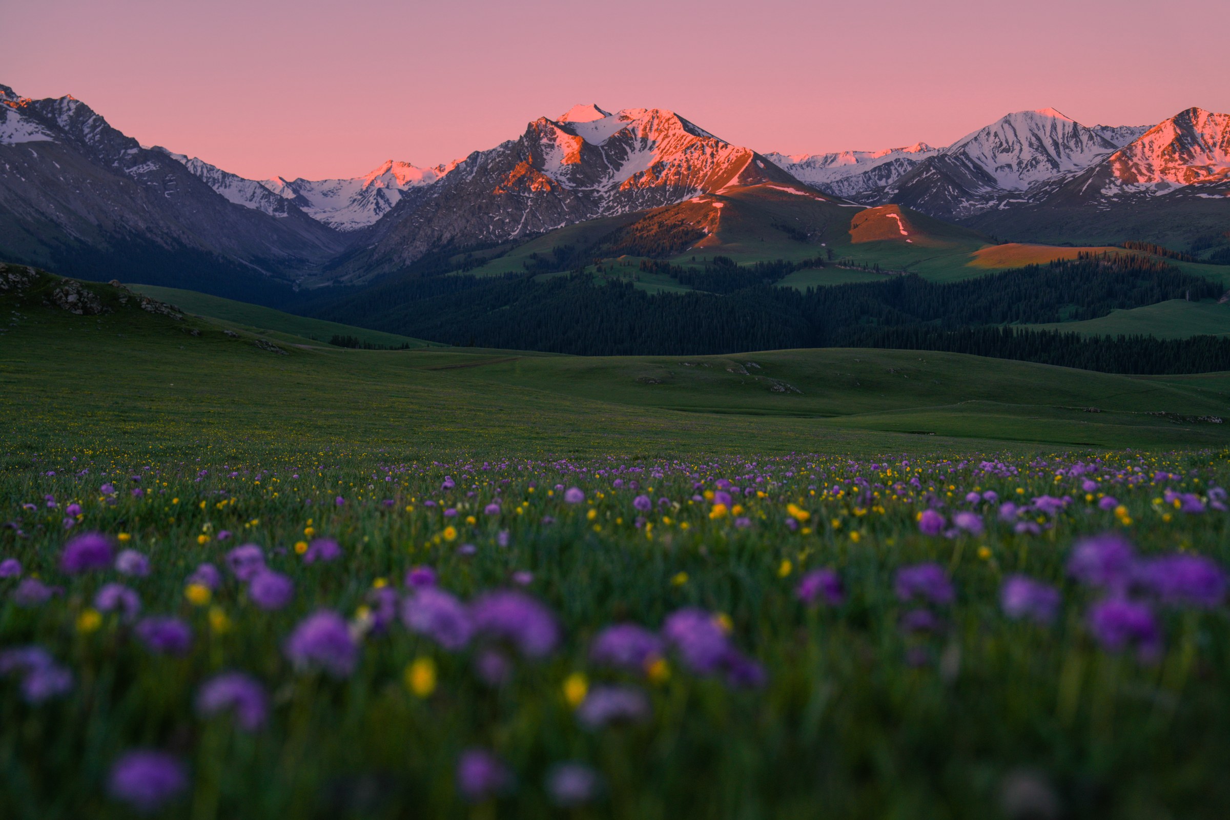 Xinjiang photograph 3