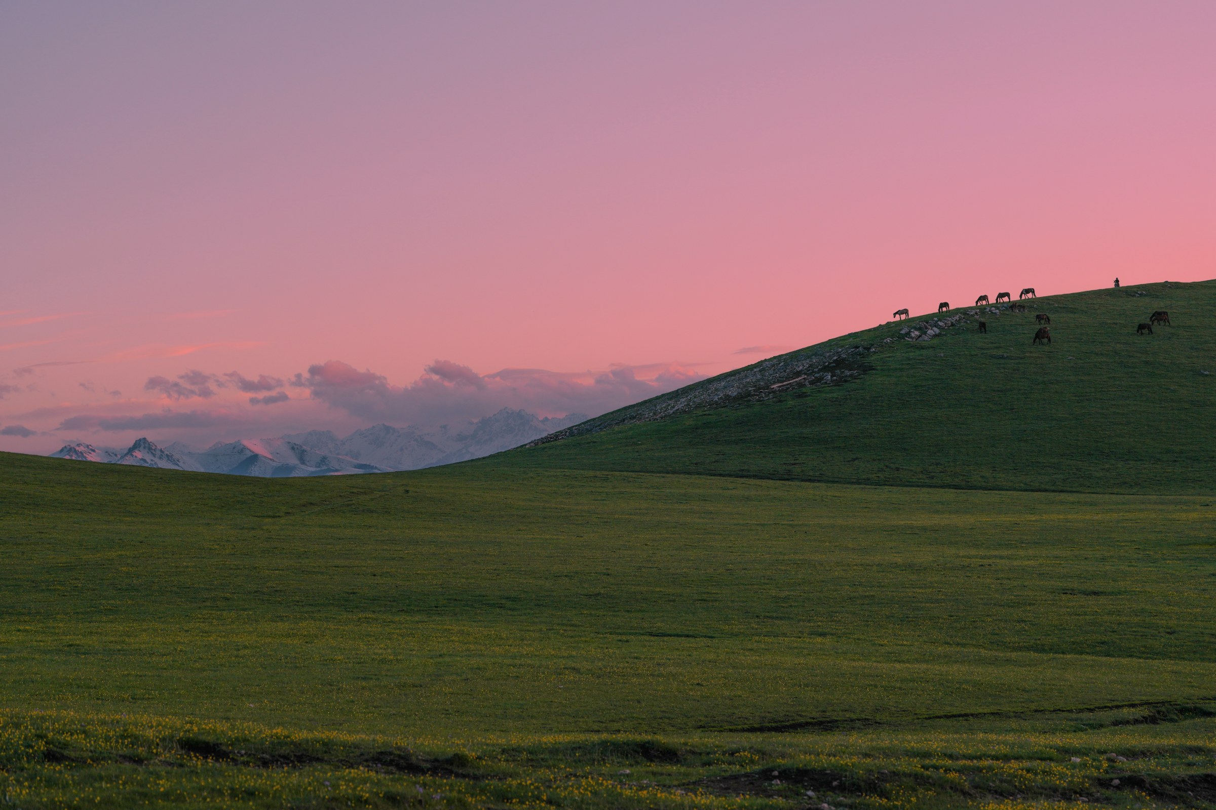 Xinjiang photograph 4