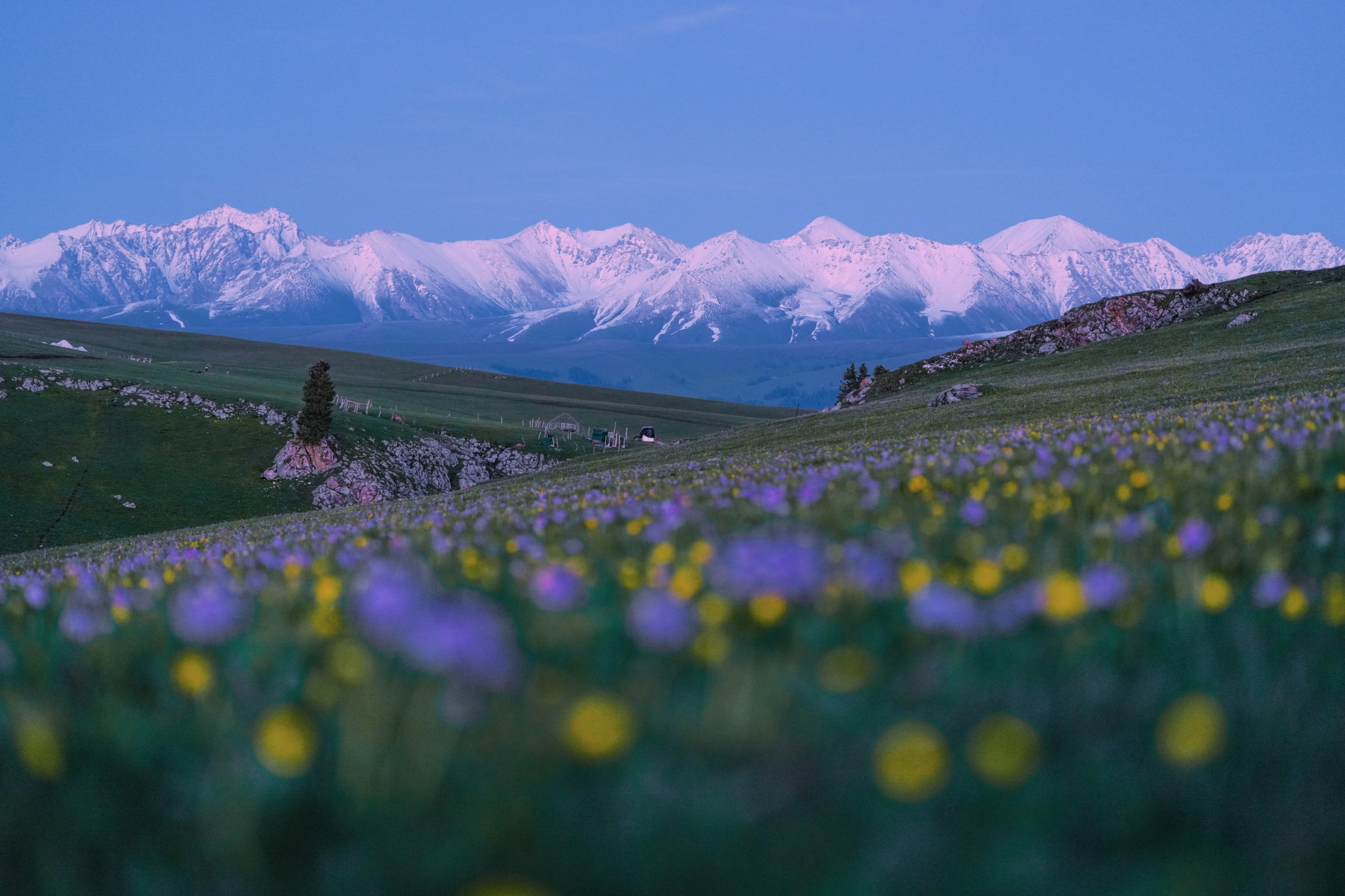 Xinjiang photograph 5