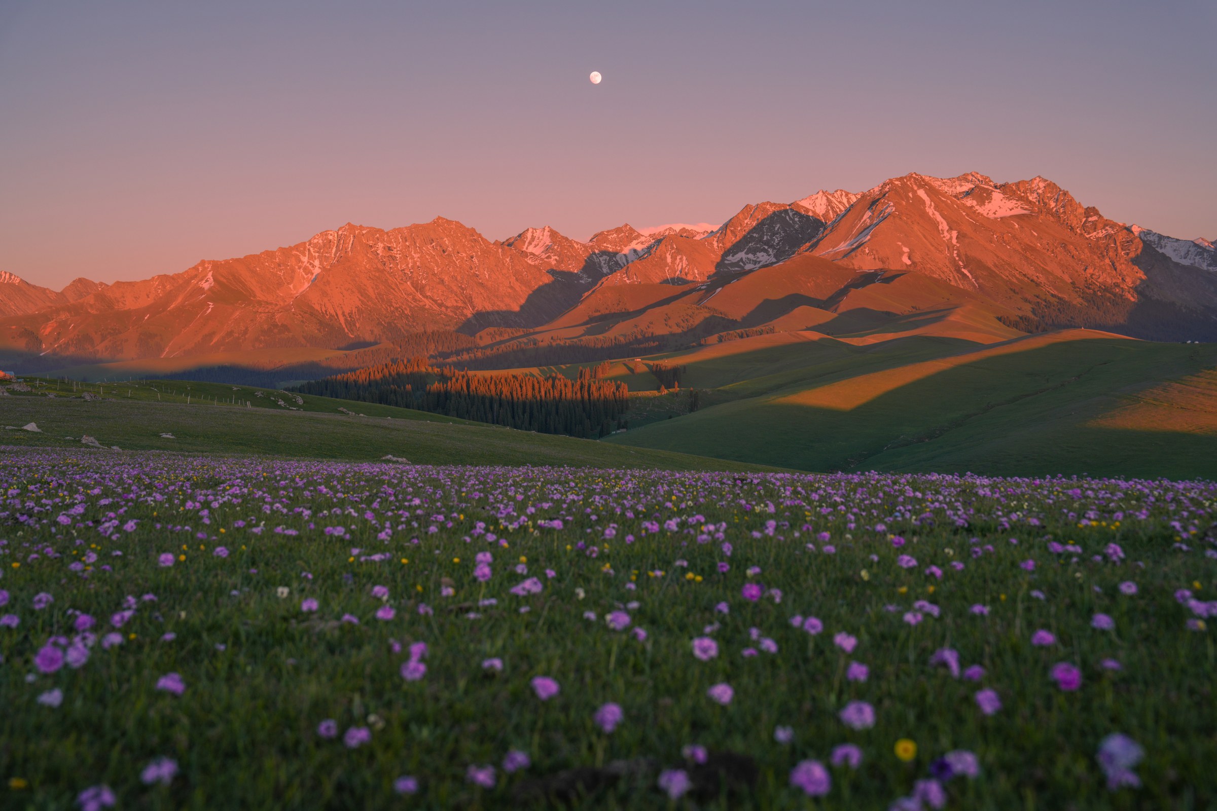 Xinjiang photograph 6