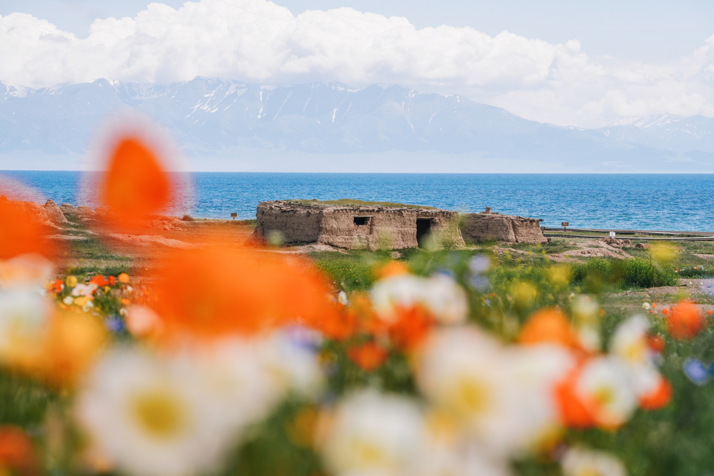 Xinjiang photograph 7