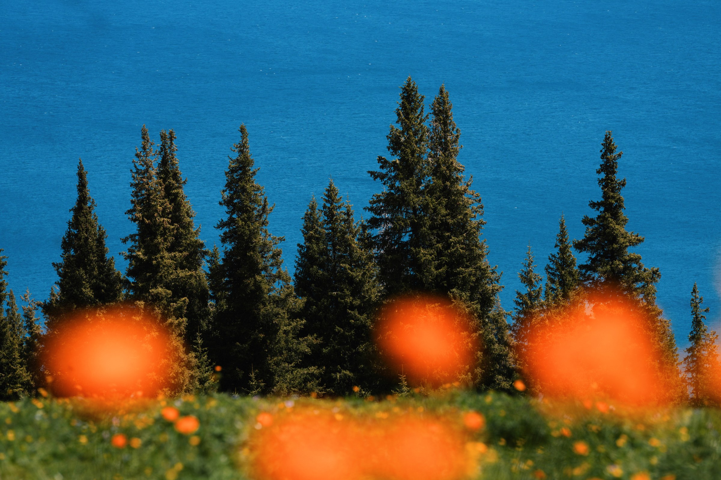 Xinjiang photograph 9