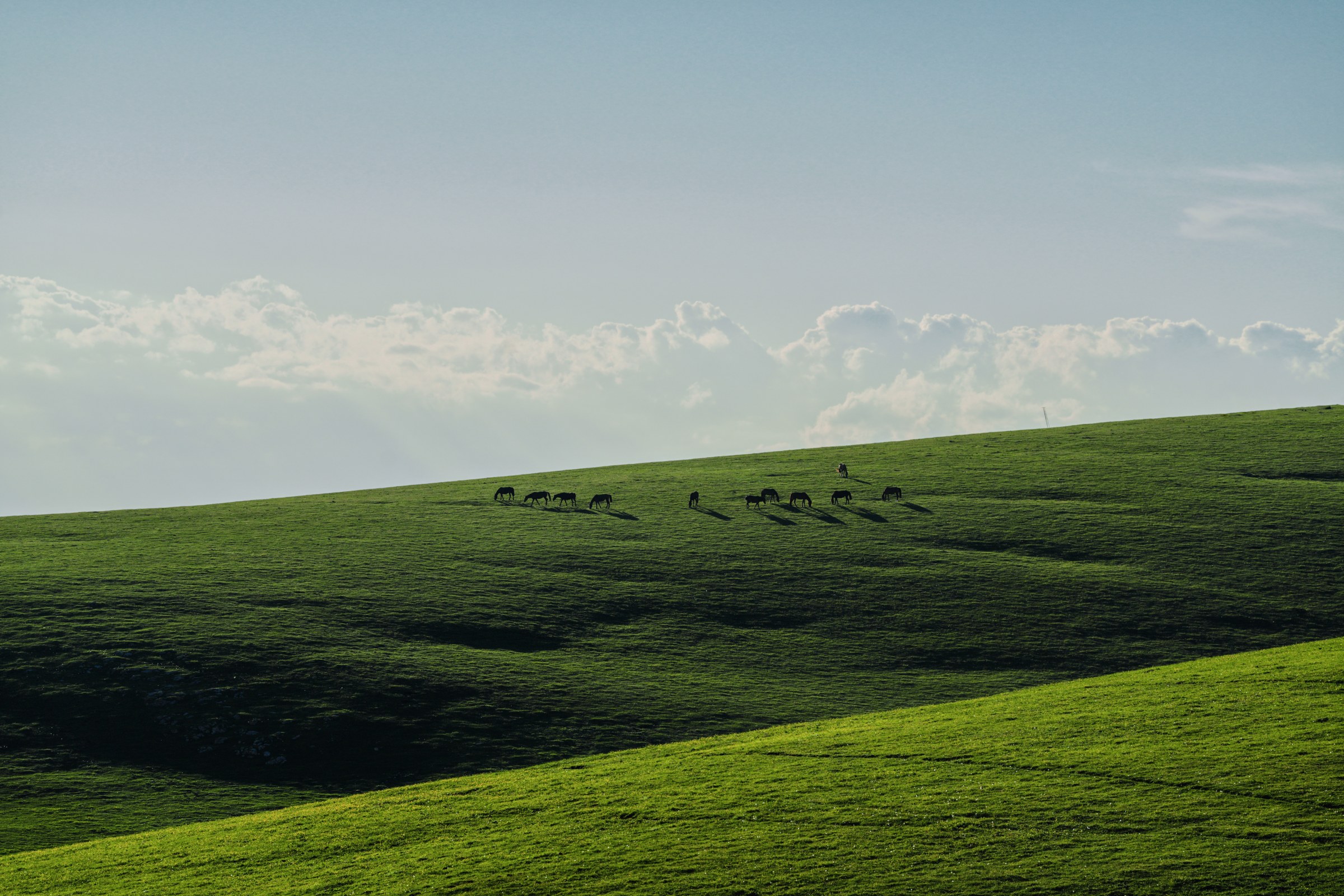 Xinjiang photograph 11