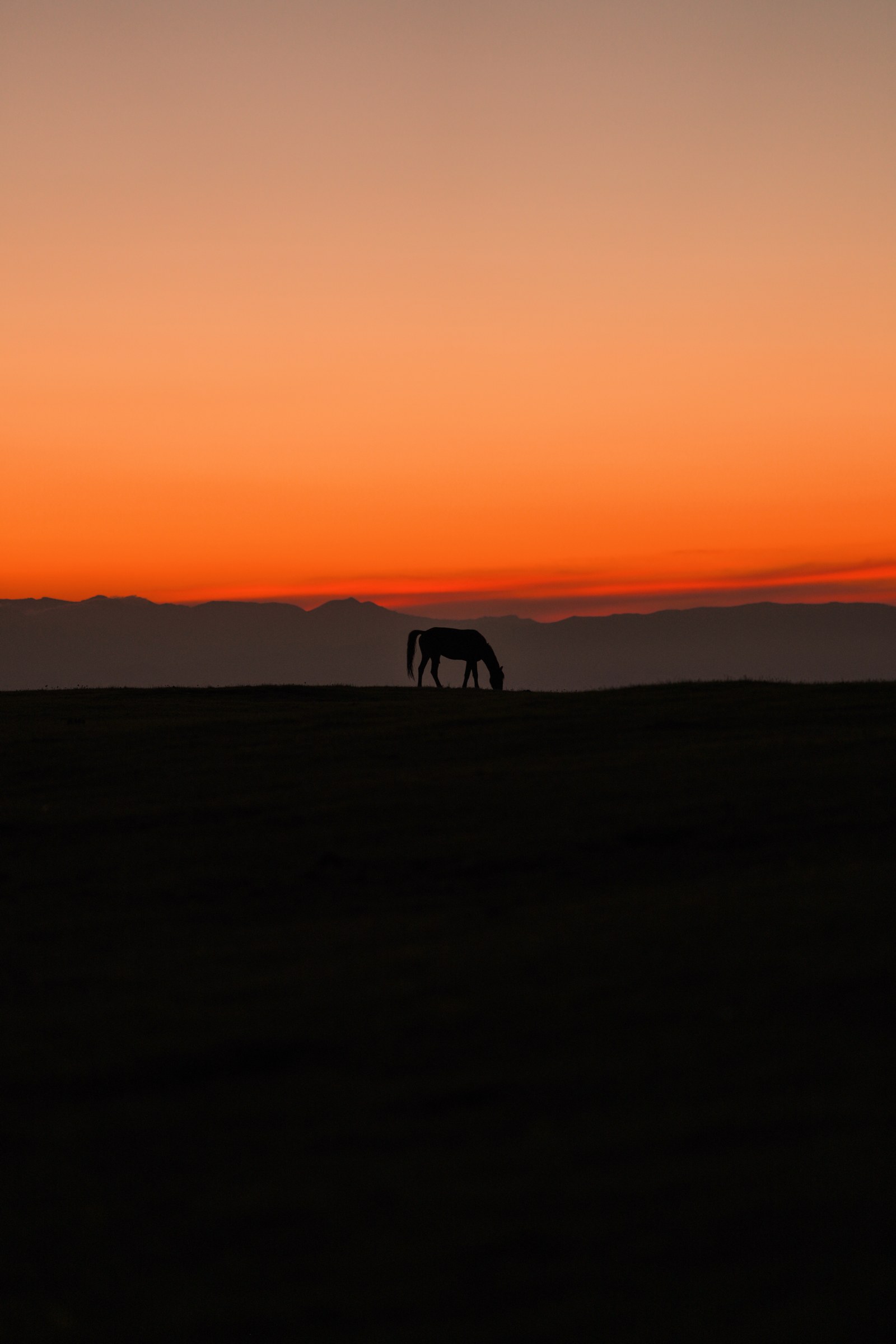 Xinjiang photograph 14